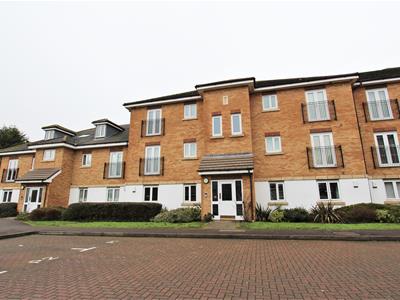 Picture 17